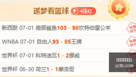 独家攻略连续13周，世界杯赔率，辉煌战绩，必胜赛事秘籍